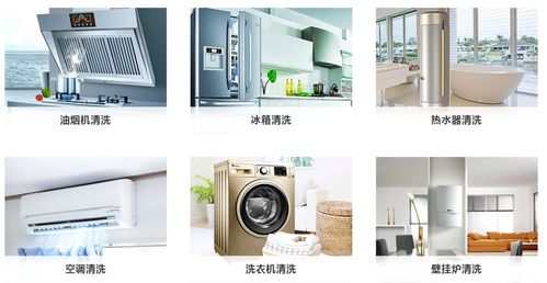 揭秘 2020為什么這個項目越來越火